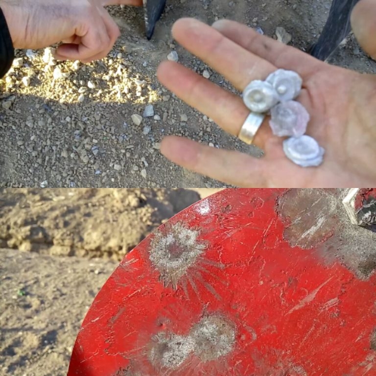 30cm Çaplı Yuvarlak Gong Hedef